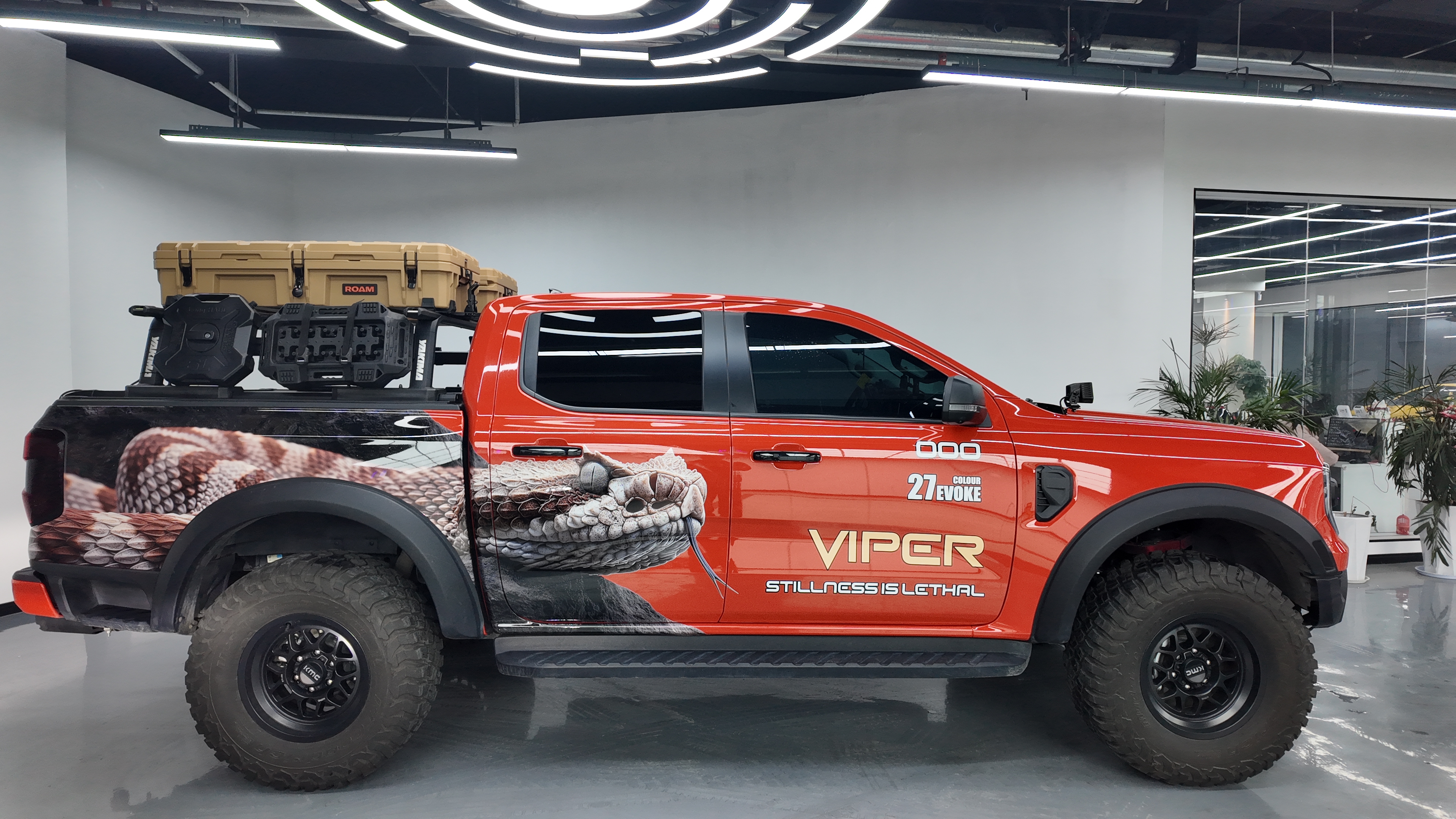 DESERT VIPER